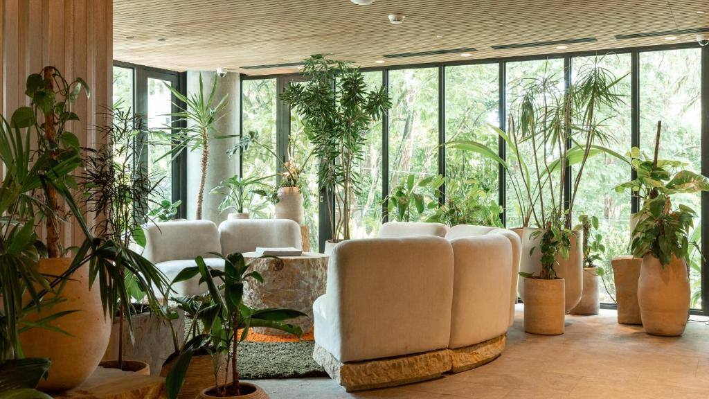 23 Hotel in El Poblado, Medellín
