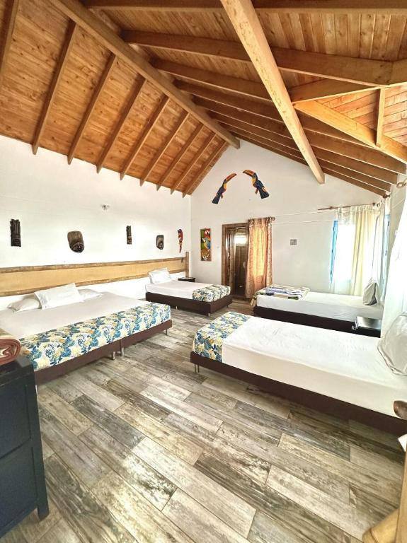 Eco Hotel Terrabela in Santa Elena and the east hills, Medellín