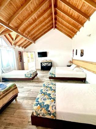 Eco Hotel Terrabela in Santa Elena and the east hills, Medellín