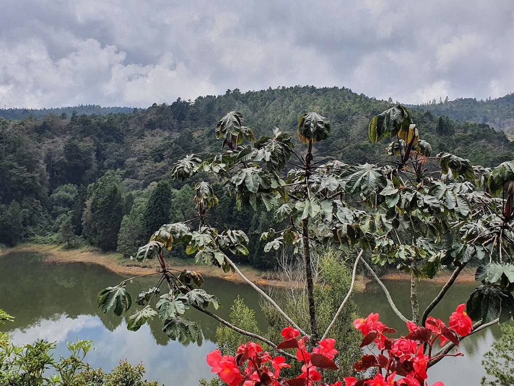 Hotel & Parque Ecológico Piedras Blancas in Guarne