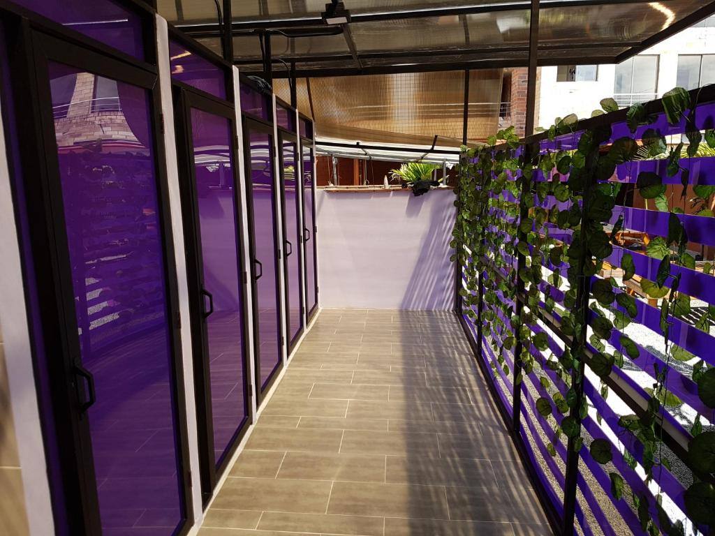 Purple Monkey Hostel in El Poblado, Medellín