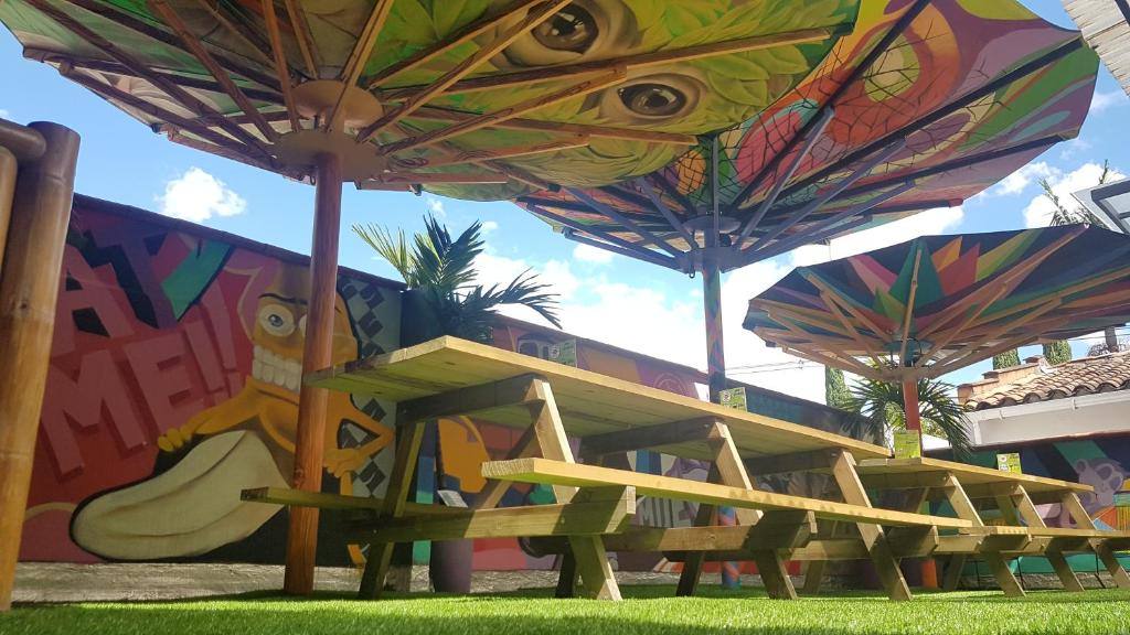 Purple Monkey Hostel in El Poblado, Medellín