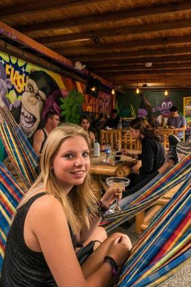 Purple Monkey Hostel in El Poblado, Medellín