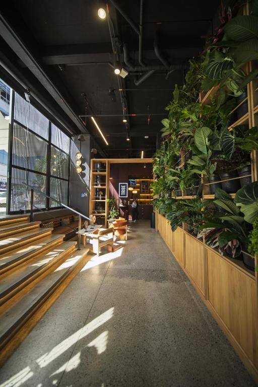Tribe Medellín in El Poblado, Medellín