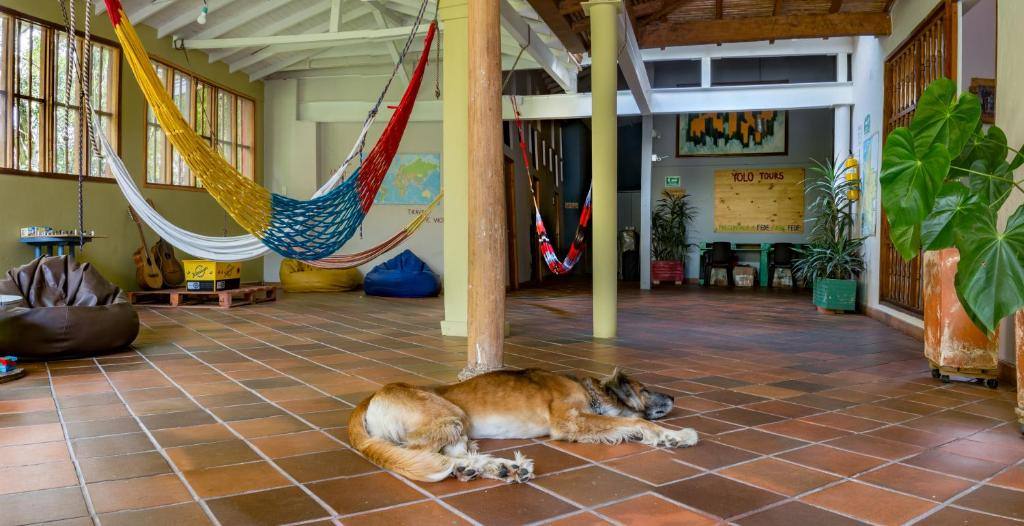 Yolo Hostel Medellin in El Poblado, Medellín