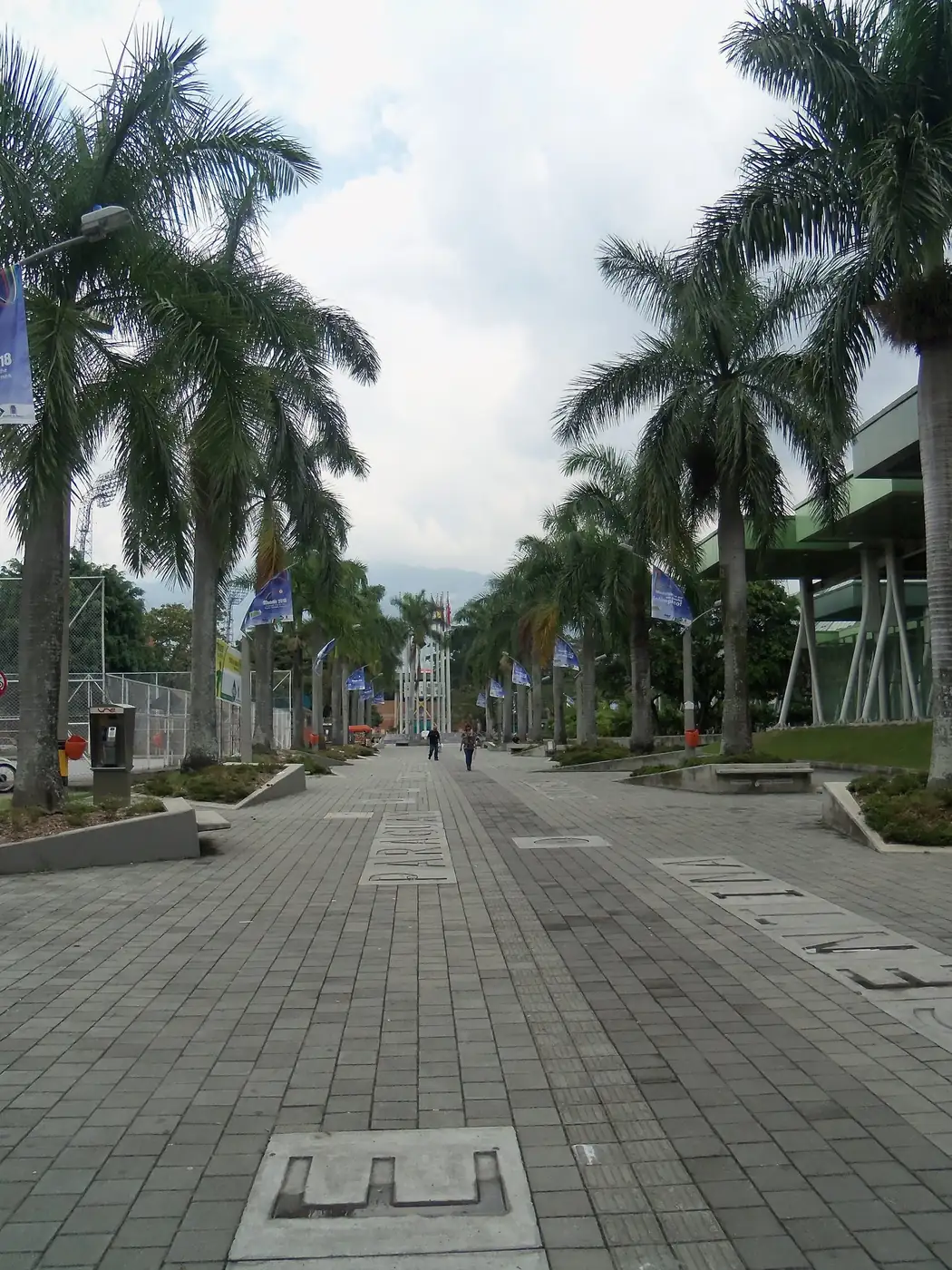 A street in Laureles